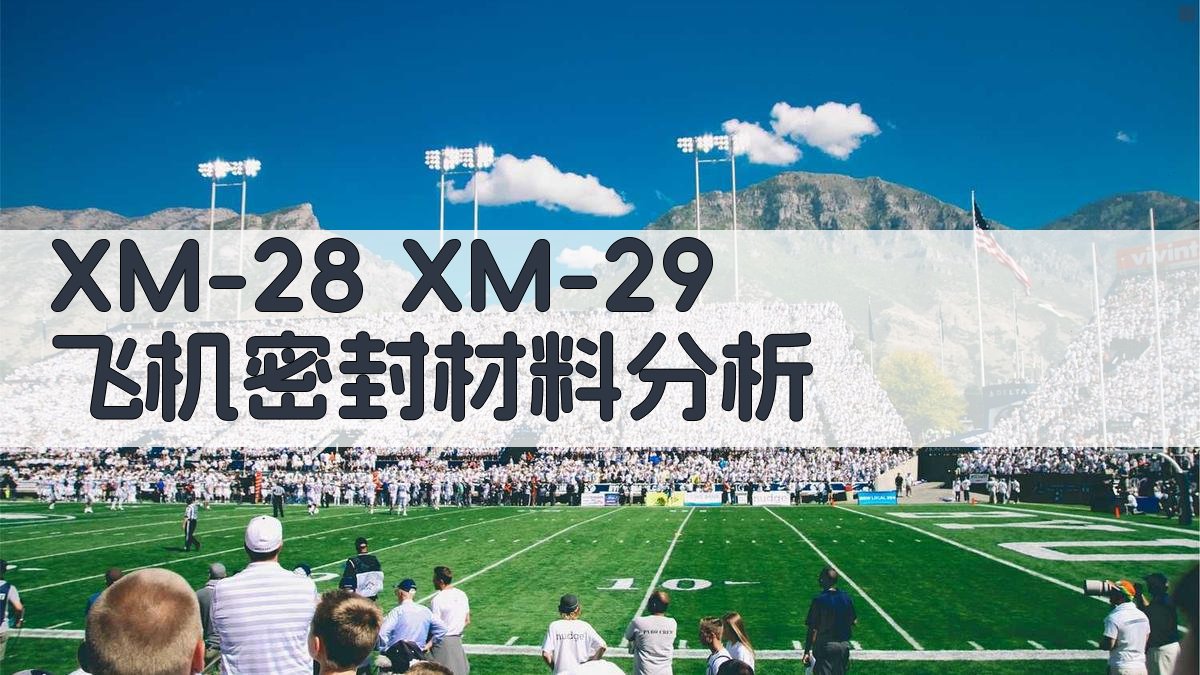 AI密封材料分析